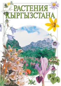 растения Кыргызстана